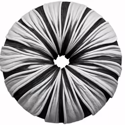 a large circular black and white pleaed circle