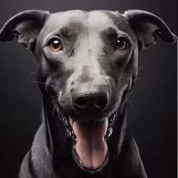 a very large dog with its mouth open