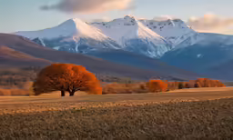 a field that has snow on top of the mountains
