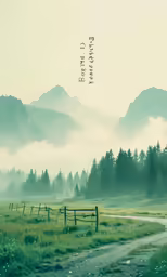 a lush green forest covered in mist sitting next to a small road