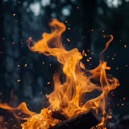 a fire burning in the middle of a forest