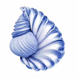 a blue and white flower is displayed in a square picture