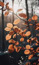 a branch with a few orange leaves standing in front of sunlight