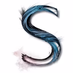 the letter s with some blue feathers on it