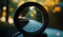 a mirror on a car reflecting the trees and sidewalk in it