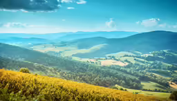 the landscape is beautiful and green in this country