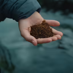 a person holding in their hand some dirt