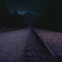 the dark image shows a street near a forest