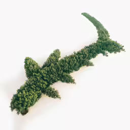 a single tree growing in the shape of a curved arrow