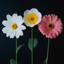 three flower arrangements are set together in a vase