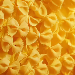 yellow flowers are shown close together with one flower still bloom