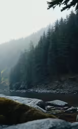 the rocks look so pretty and scenic as it flows over the stream