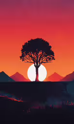 the silhouette of a tree is illuminated by a setting sun,a large tree standing in front of a sunset