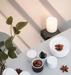 the table set for an autumn dinner has three plates and two star anisettes