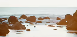 a seagull stands on some rocks on the beach