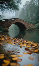 stone bridge over the water surrounded by leaves