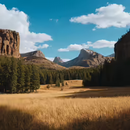 mountain range in the distance with trees and grasses