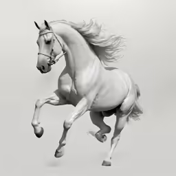 a white horse galloping on its hind legs