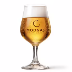 a glass of beer on a white background