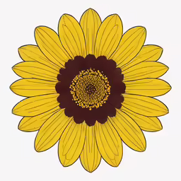 a drawing of a sunflower in the center of a frame