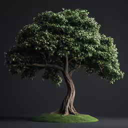 a tree with large branches and green grass