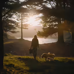 a person walking with several dogs along a river