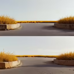 this is two pictures of tall grass in the middle of the street