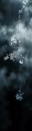 a reflection of water and clouds on a wet surface