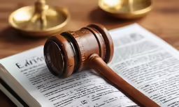 an image of a judge book and a mallet