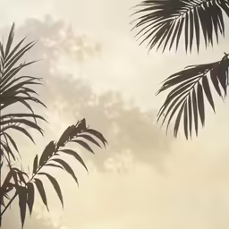 silhouetted plant stems against a cloudless sky