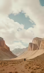 a lone horse in a desert valley