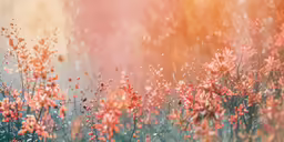 bright red flowers in the middle of grass