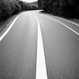 an empty asphalt road running through the trees