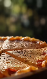 two slices of pizza on top of a plate