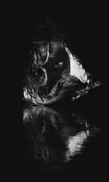 a creepy mask in the middle of the water