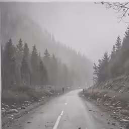 a road surrounded by trees and rocks on a gloomy day
