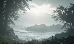 sunlight over the ocean with a couple of trees