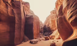 a narrow valley has rocks on the ground