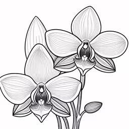 the beautiful flowers are blooming in black and white