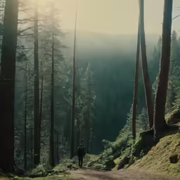 man in black jacket walking along road through woods