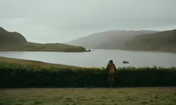 a person looking out to the water from a hill top