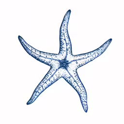 a starfish with blue ink and white background