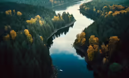a river running through a forest next to trees