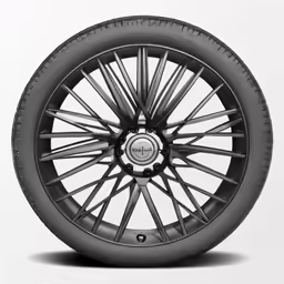 black spoked rim with spoke wheels and tires on a white background