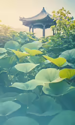 a water plant with green leaves under a tall pagoda