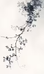 an artistic photograph of a plant with leaves