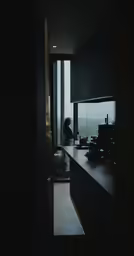 woman using cell phone at kitchen counter top with panoramic window