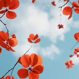 the flowers on the tree are orange and red