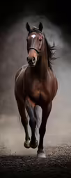a beautiful brown horse running across a sandy ground