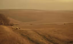 a large long field filled with lots of brown grass